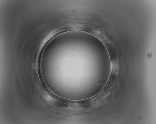 X0000096700195200802051419