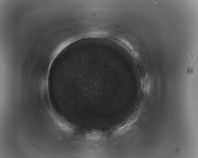 X0000096700196200802051419
