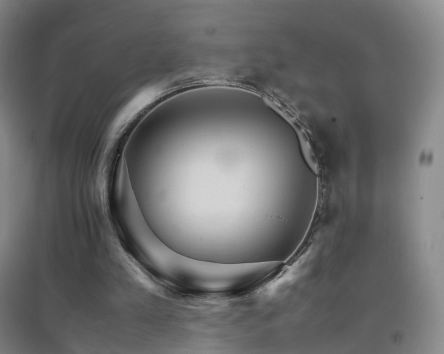 X0000096700197200802051419