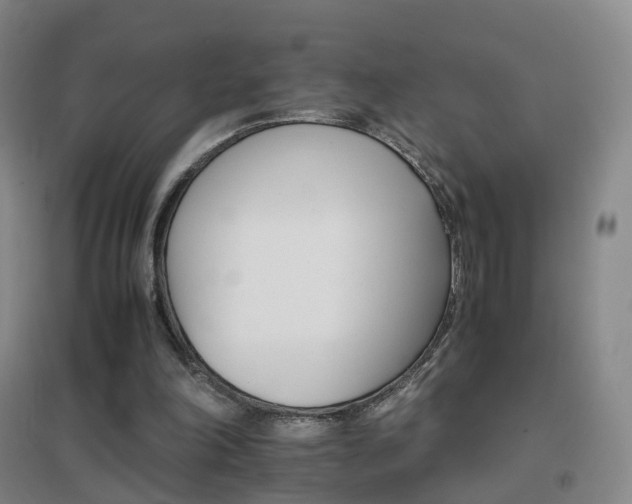 X0000096700198200802051419