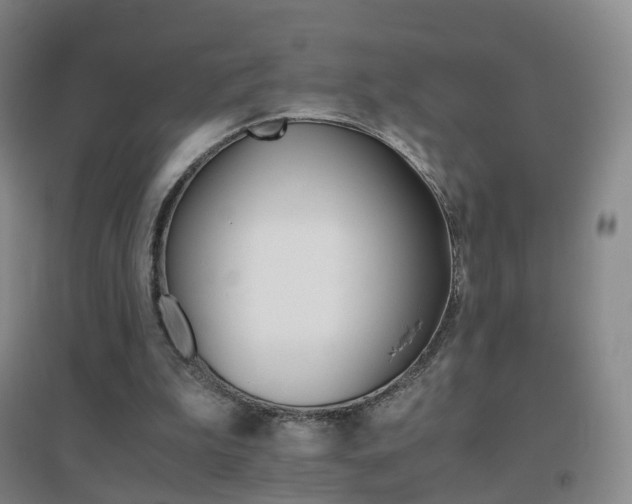 X0000096700199200802051419