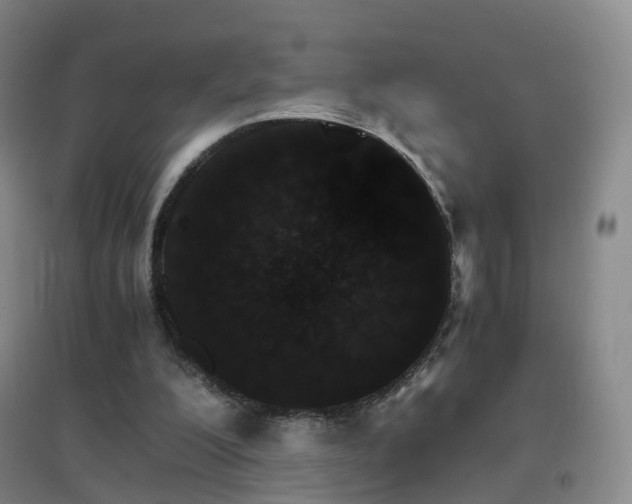 X0000096700200200802051419