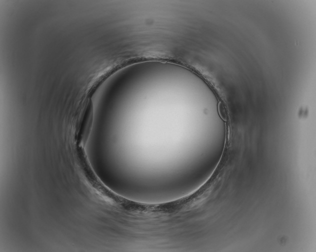 X0000096700201200802051419