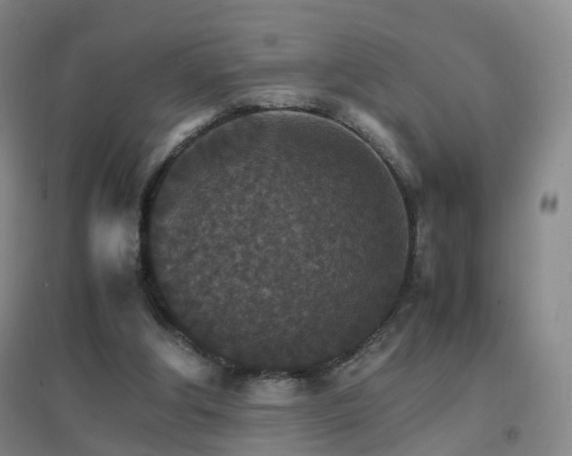 X0000096700202200802051419