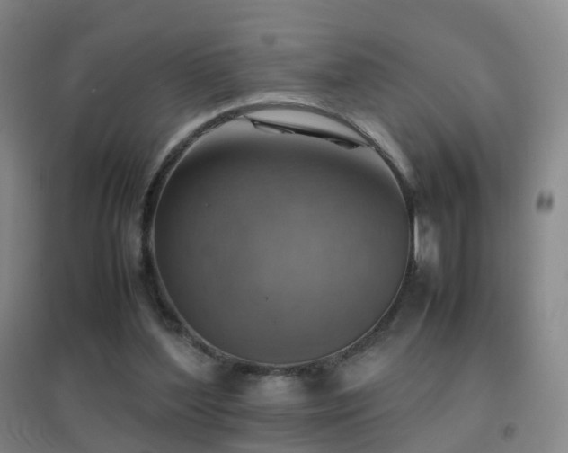 X0000096700204200802051419