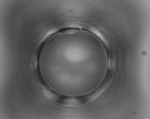 X0000096700205200802051419