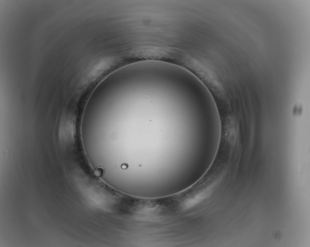 X0000096700206200802051419
