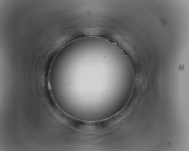 X0000096700209200802051419