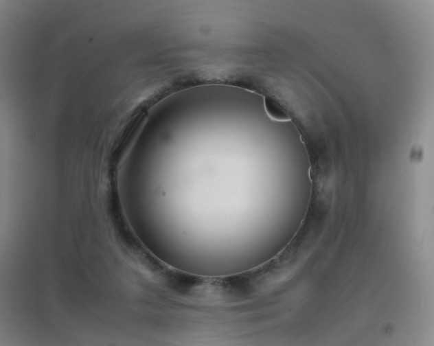 X0000096700211200802051419