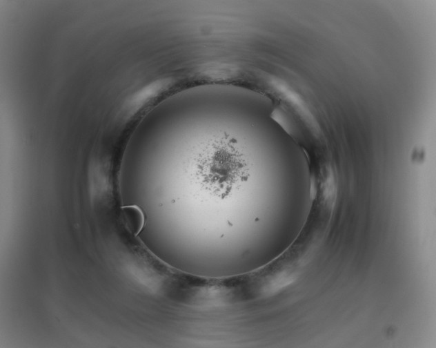 X0000096700212200802051419
