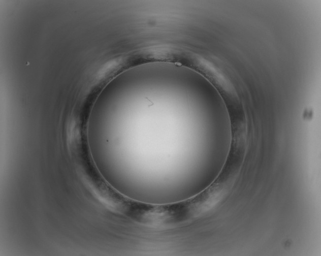 X0000096700213200802051419