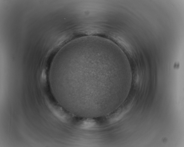 X0000096700214200802051419