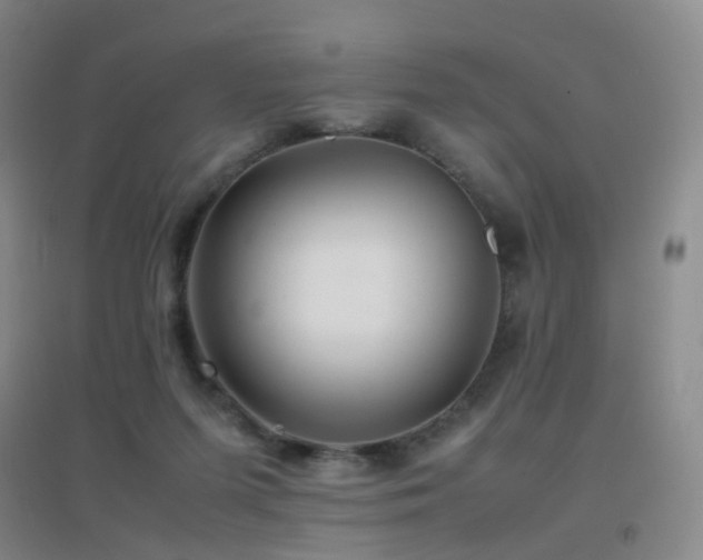 X0000096700215200802051419