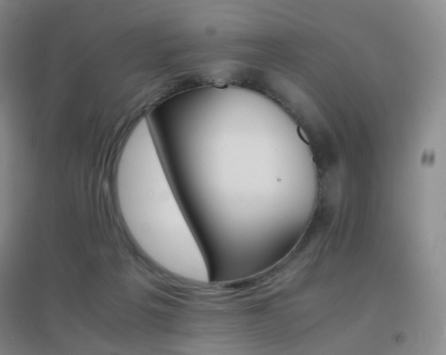 X0000096700217200802051419