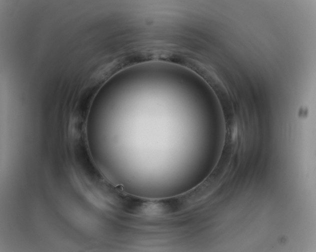 X0000096700218200802051419