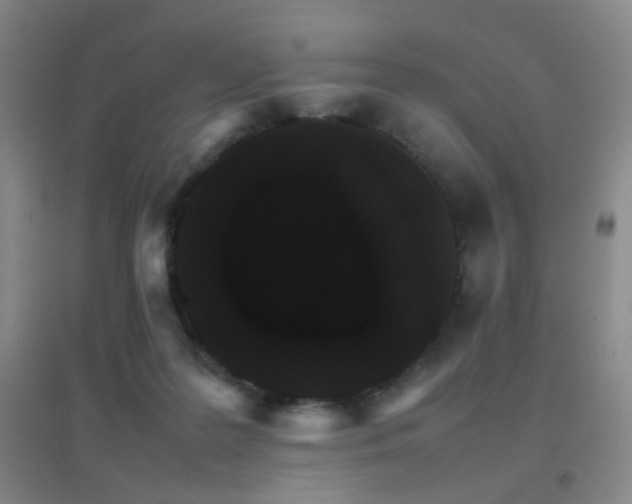 X0000096700219200802051419