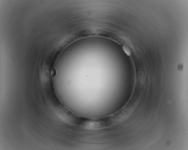 X0000096700220200802051419