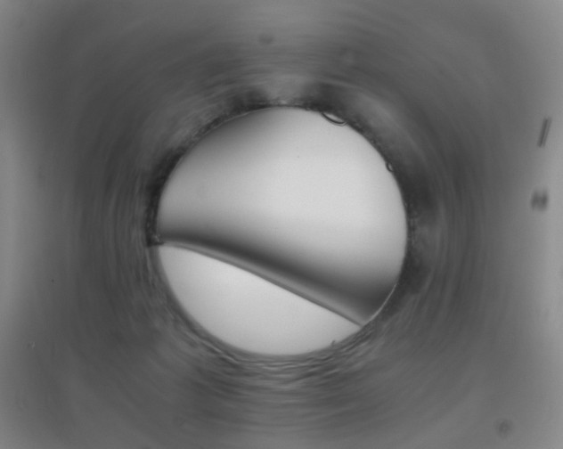 X0000096700221200802051419