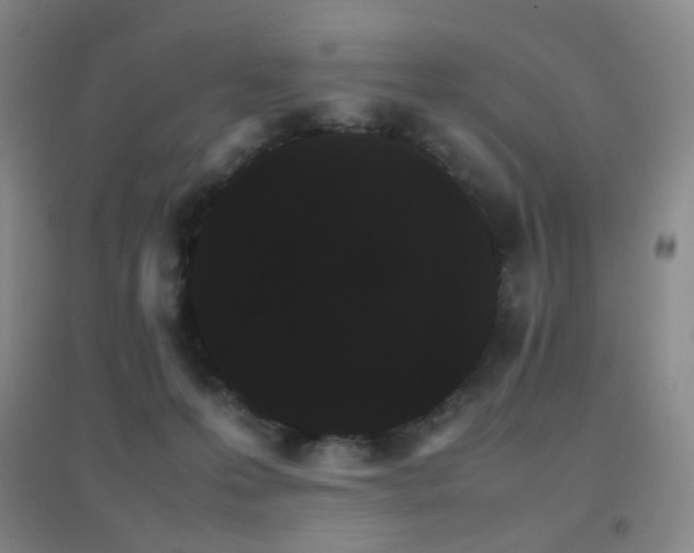X0000096700223200802051419