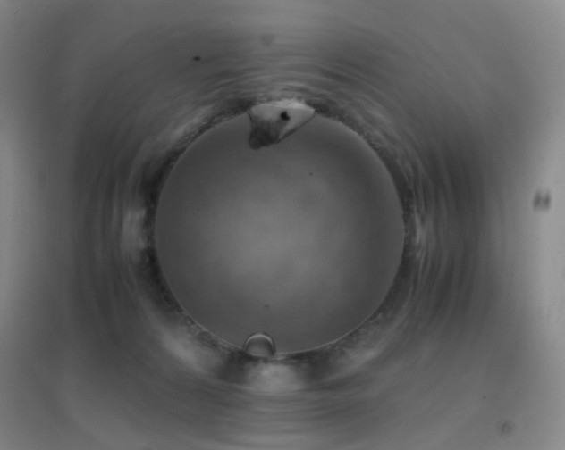 X0000096700224200802051419