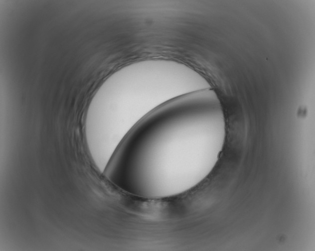 X0000096700225200802051418