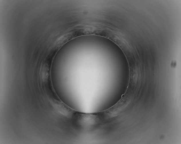 X0000096700226200802051418