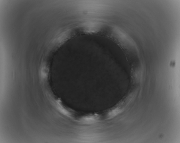 X0000096700227200802051418