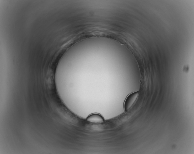 X0000096700228200802051418