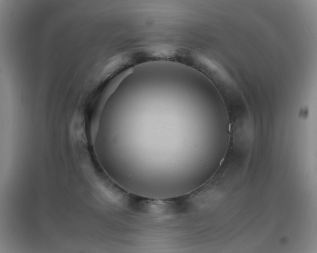 X0000096700229200802051418