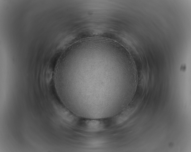 X0000096700230200802051418