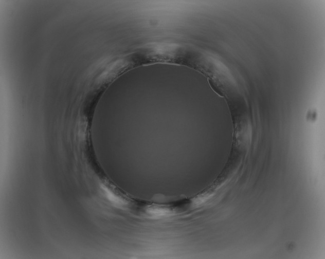 X0000096700231200802051418
