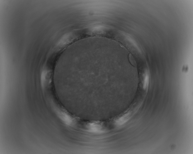 X0000096700232200802051418