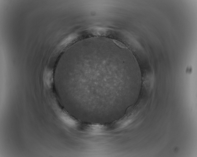 X0000096700233200802051418