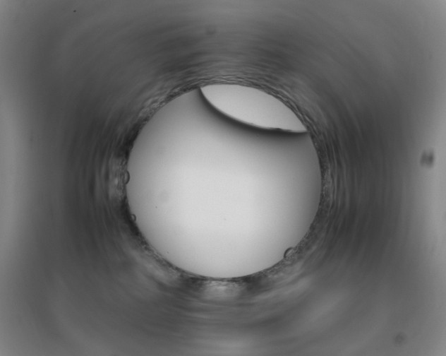 X0000096700234200802051418