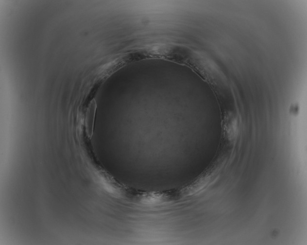 X0000096700235200802051418