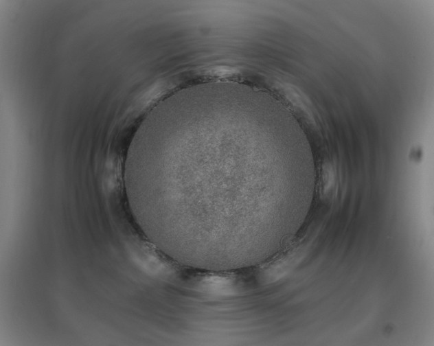 X0000096700236200802051418
