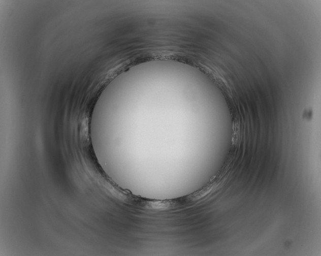 X0000096700238200802051418
