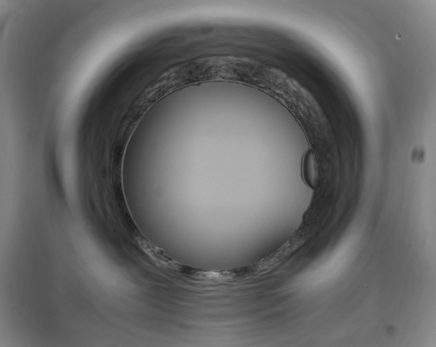X0000096700239200802051418