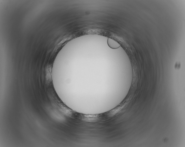 X0000096700240200802051418