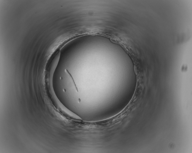 X0000096700242200802051417