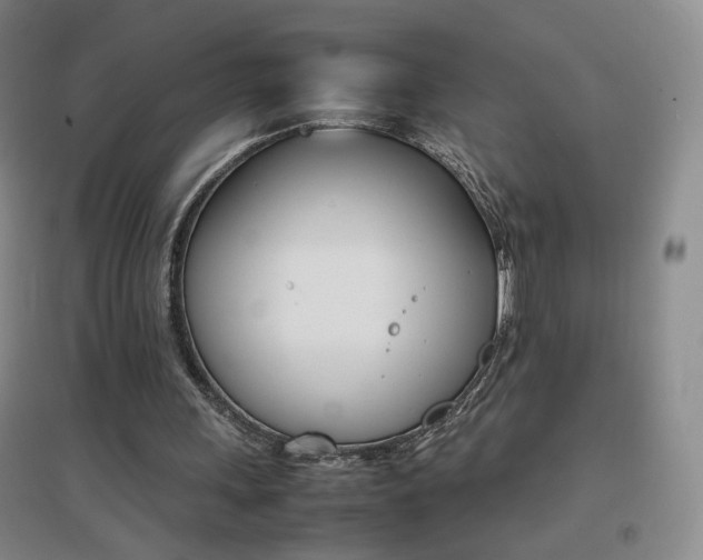 X0000096700243200802051417