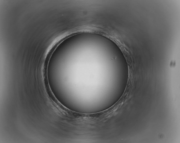 X0000096700244200802051417