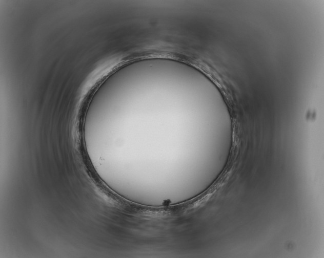 X0000096700245200802051418
