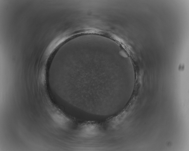 X0000096700247200802051418