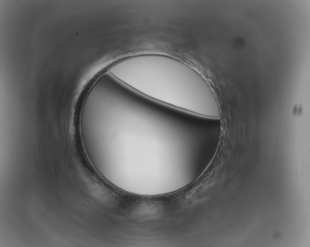 X0000096700248200802051418