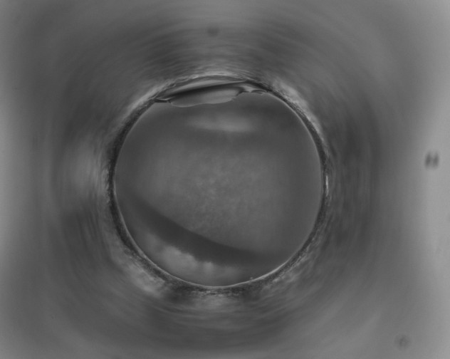 X0000096700249200802051418
