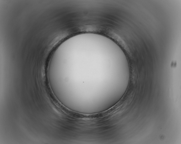 X0000096700251200802051418
