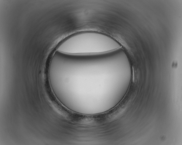 X0000096700252200802051418
