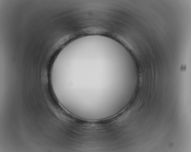 X0000096700254200802051418