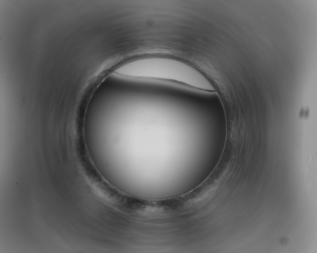 X0000096700256200802051418